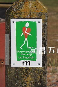 宜昌五峰县债务合同律师 宜昌五峰县债务合同律师