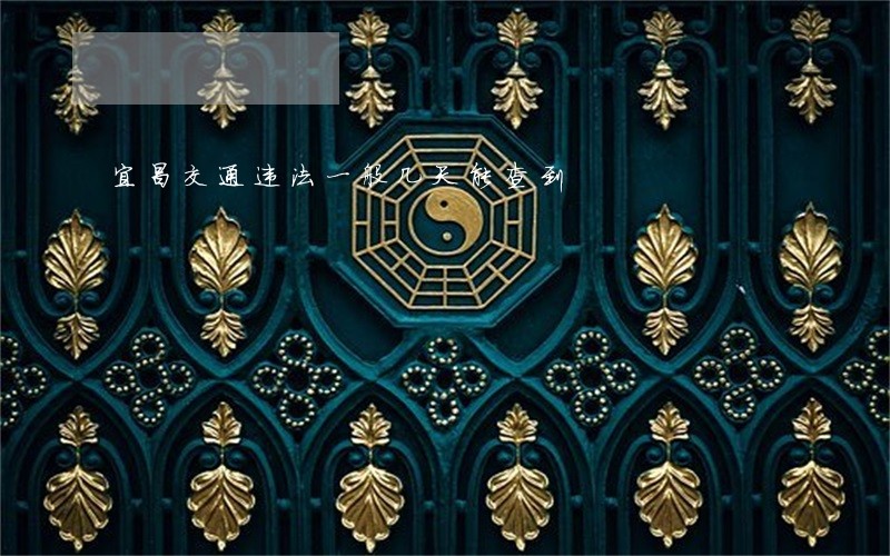 宜昌交通违法一般几天能查到