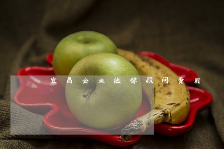 宜昌企业法律顾问费用 宜昌企业法律顾问费用