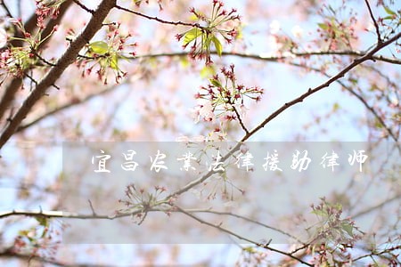 宜昌农业法律援助律师 宜昌农业法律援助律师