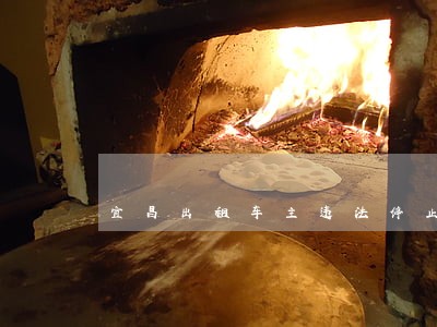 宜昌出租车主违法停止运营事件 宜昌出租车主违法停止运营事件