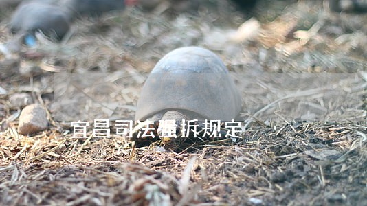 宜昌司法强拆规定