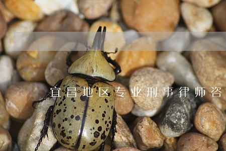 宜昌地区专业刑事律师咨询电话 宜昌地区专业刑事律师咨询电话