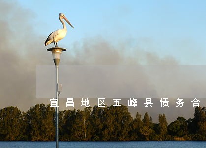 宜昌地区五峰县债务合同律师 宜昌地区五峰县债务合同律师