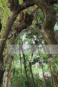 宜昌地区债务合同律师预约 宜昌地区债务合同律师预约