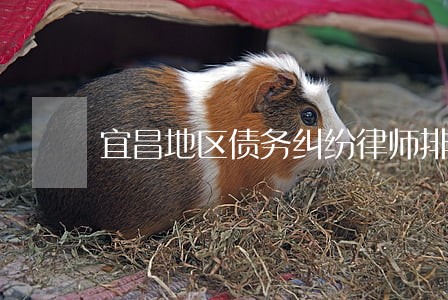宜昌地区债务纠纷律师排名 宜昌地区债务纠纷律师排名