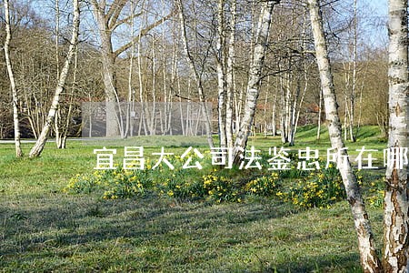 宜昌大公司法鉴忠所在哪里 宜昌大公司法鉴忠所在哪里