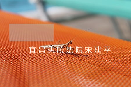 宜昌夷陵法院宋建平