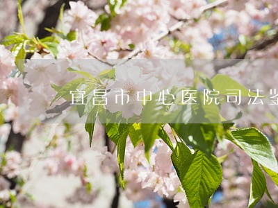 宜昌市中心医院司法鉴定中心 宜昌市中心医院司法鉴定中心