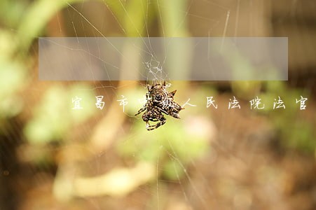 宜昌市中级人民法院法官违法办案 宜昌市中级人民法院法官违法办案