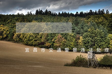 宜昌市交通警察违法处理中心