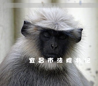 宜昌市法院书记 宜昌市法院书记