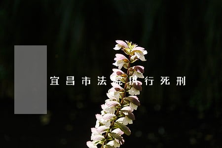 宜昌市法院执行死刑 宜昌市法院执行死刑