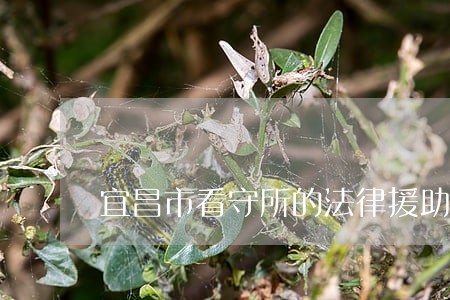 宜昌市看守所的法律援助有哪些