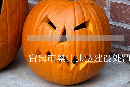 宜昌市禁止违法建设处罚条例 宜昌市禁止违法建设处罚条例