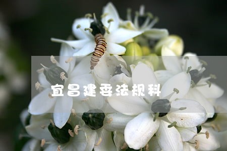 宜昌建委法规科 宜昌建委法规科