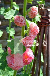 宜昌当地合同纠纷律师