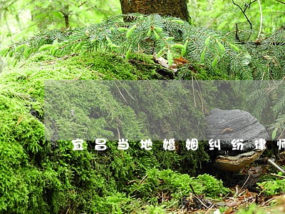 宜昌当地婚姻纠纷律师费 宜昌当地婚姻纠纷律师费