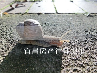 宜昌房产律师地址 宜昌房产律师地址