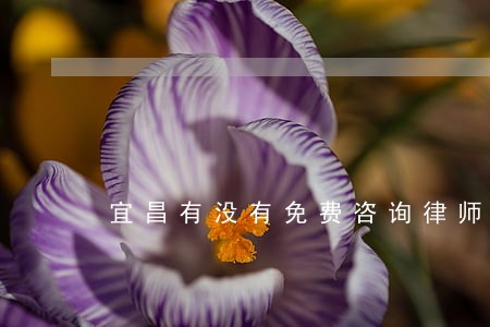 宜昌有没有免费咨询律师 宜昌有没有免费咨询律师