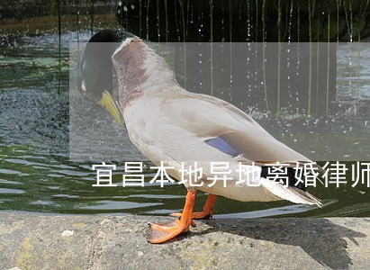 宜昌本地异地离婚律师费 宜昌本地异地离婚律师费