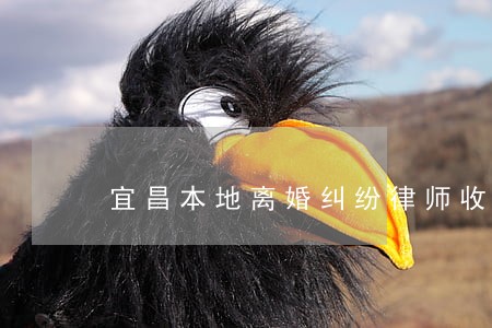 宜昌本地离婚纠纷律师收费 宜昌本地离婚纠纷律师收费