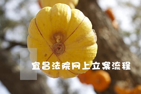 宜昌法院网上立案流程
