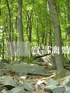 宜昌离婚律师免费咨询 宜昌离婚律师免费咨询