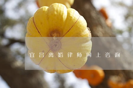 宜昌离婚律师网上咨询 宜昌离婚律师网上咨询