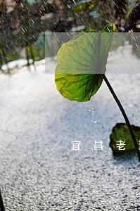 宜昌老法院在哪里