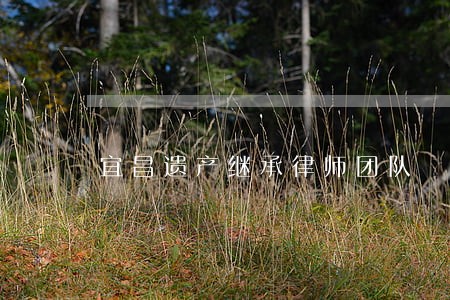 宜昌遗产继承律师团队 宜昌遗产继承律师团队