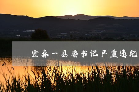 宜春一县委书记严重违纪违法 宜春一县委书记严重违纪违法