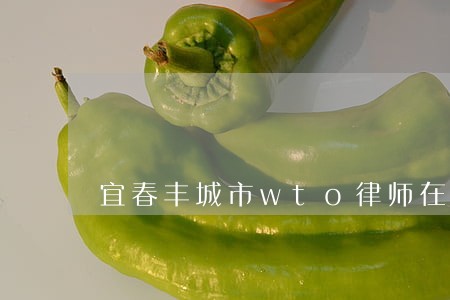 宜春丰城市wto律师在线咨询 宜春丰城市wto律师在线咨询