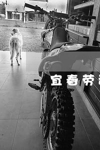 宜春劳动仲裁在线咨询 宜春劳动仲裁在线咨询