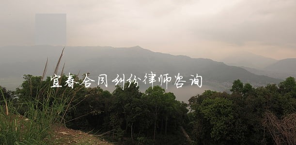 宜春合同纠纷律师咨询 宜春合同纠纷律师咨询
