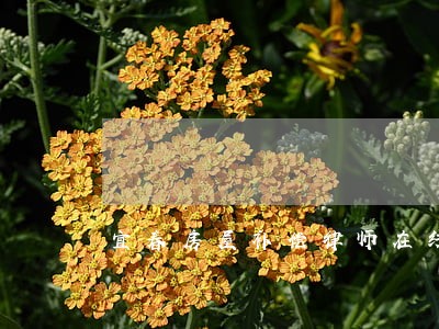 宜春房屋补偿律师在线咨询 宜春房屋补偿律师在线咨询