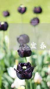 宜春朱国胜律师 宜春朱国胜律师