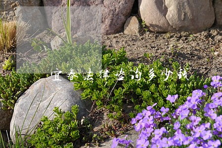 宜春法律咨询多少钱 宜春法律咨询多少钱