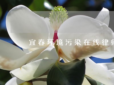 宜春环境污染在线律师咨询 宜春环境污染在线律师咨询