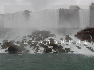 宜春网贷逾期债务重组怎么协商 宜春网贷逾期债务重组怎么协商