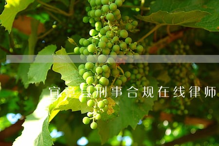 宜章县刑事合规在线律师咨询 宜章县刑事合规在线律师咨询