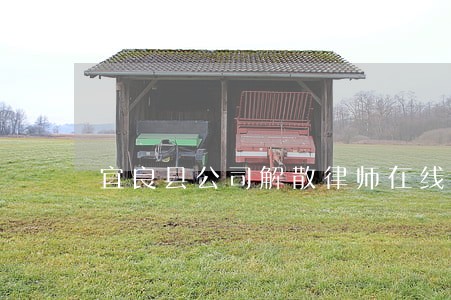 宜良县公司解散律师在线免费咨询 宜良县公司解散律师在线免费咨询