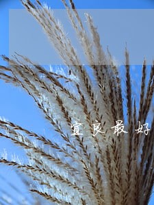 宜良最好合同纠纷律师 宜良最好合同纠纷律师