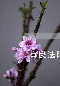 宜良法院拍卖平台 宜良法院拍卖平台