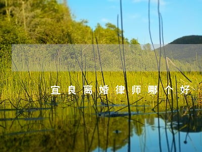宜良离婚律师哪个好