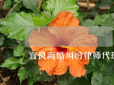 宜良离婚纠纷律师代理费 宜良离婚纠纷律师代理费