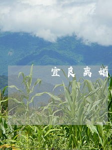 宜良离婚继承律师费用 宜良离婚继承律师费用