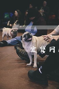 宜贷网10月10号逾期多少 宜贷网10月10号逾期多少