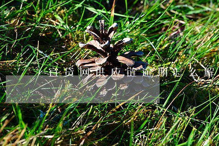 宜贷网供应链逾期怎么解决 宜贷网供应链逾期怎么解决