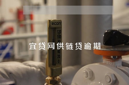 宜贷网供链贷逾期 宜贷网供链贷逾期